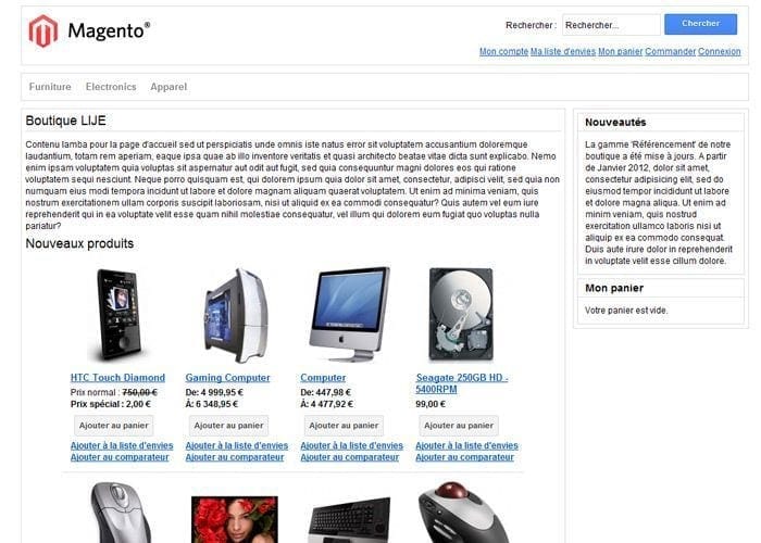 theme magento