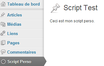 ajouter onglet wordpress